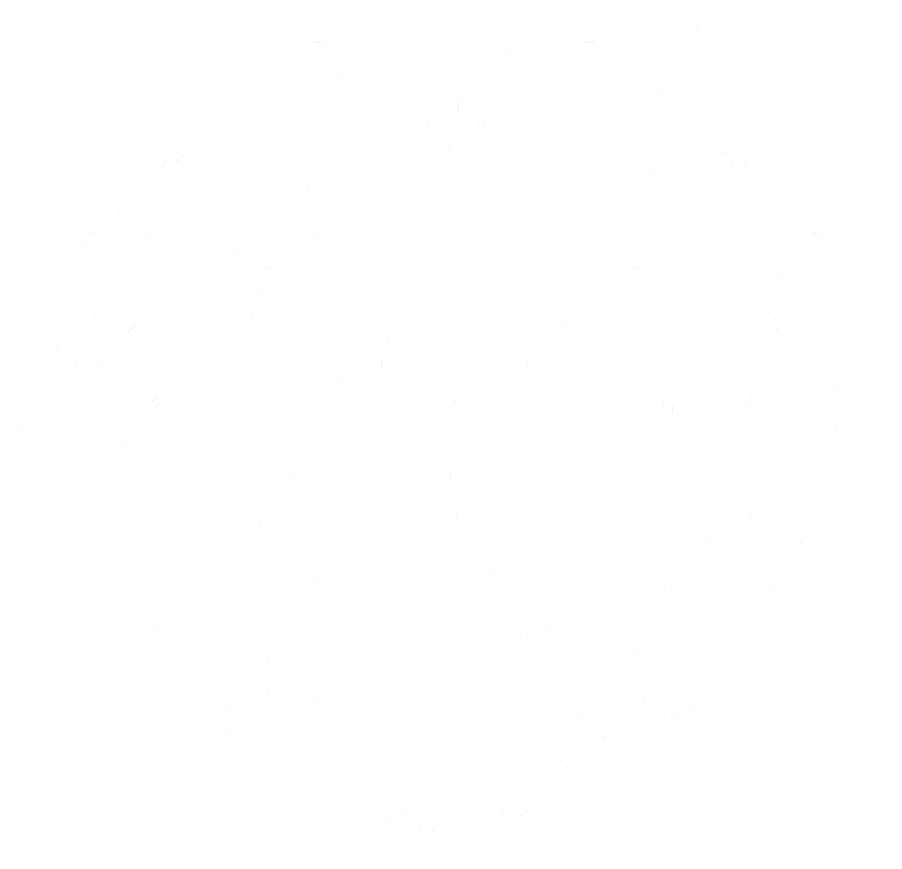 In His Steps Academy Leo Lion Logo